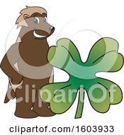 Wolverine School Mascot Character With A St Patricks Day Clover