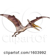 Clipart Of A Sketched Pterodactyl Dinosaur Royalty Free Vector Illustration