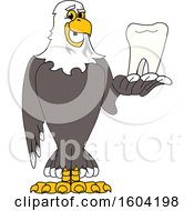 Poster, Art Print Of Bald Eagle School Mascot Character Holding A Tooth