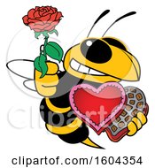Hornet Or Yellow Jacket School Mascot Character Holding A Rose And Valentines Day Candy