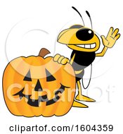 Hornet Or Yellow Jacket School Mascot Character With A Halloween Pumpkin