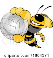 Poster, Art Print Of Hornet Or Yellow Jacket School Mascot Character Grabbing A Volleyball