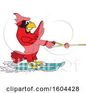 Red Cardinal Bird School Mascot Character Water Skiing