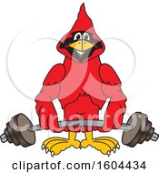 Poster, Art Print Of Red Cardinal Bird School Mascot Character Lifting A Barbell