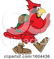 Poster, Art Print Of Red Cardinal Bird School Mascot Character Hiking