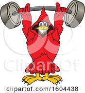 Poster, Art Print Of Red Cardinal Bird School Mascot Character Lifting A Heavy Barbell