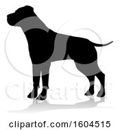 Poster, Art Print Of Silhouetted Mastiff Dog With A Reflection Or Shadow On A White Background