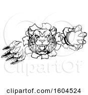 Clipart Of A Black And White Vicious Bobcat Lynx Wildcat Mascot Breaking Through A Wall With A Cricket Ball Royalty Free Vector Illustration