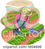 Poster, Art Print Of Female Farmer Kneeling And Harvesting Lettuce
