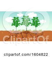 Clipart Of Plants And The Air And Water Passage In The Soil Created By Worms Royalty Free Vector Illustration