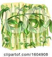 Poster, Art Print Of Bamboo Stalks