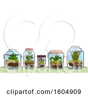 Poster, Art Print Of Garden Of Glass Terrariums And Plants
