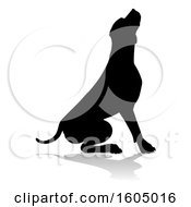 Poster, Art Print Of Silhouetted Mastiff Dog With A Reflection Or Shadow On A White Background