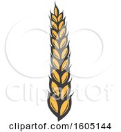 Clipart Of A Grain Stalk Royalty Free Vector Illustration