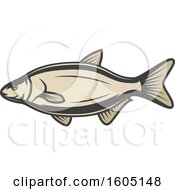 Poster, Art Print Of Fish