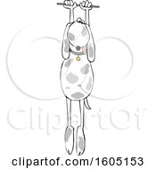 Clipart Of A Cartoon Dog Hanging On Royalty Free Vector Illustration