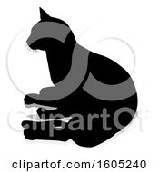 Poster, Art Print Of Silhouetted Cat With A Shadow Or Reflection On A White Background