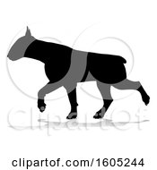 Silhouetted Bull Terrier Dog Running With A Reflection Or Shadow On A White Background