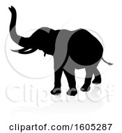 Poster, Art Print Of Silhouetted Elephant With A Reflection On A White Background