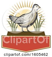 Poster, Art Print Of Bird With A Sunset And Plants Over Blank Banners