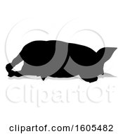 Clipart Of A Silhouetted Pig With A Reflection Or Shadow On A White Background Royalty Free Vector Illustration
