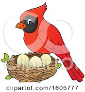 Red Cardinal Bird By A Nest