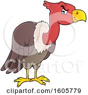 Vulture Bird