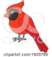 Poster, Art Print Of Red Cardinal Bird