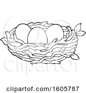 Poster, Art Print Of Black And White Bird Nest With Eggs