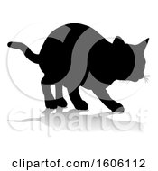 Poster, Art Print Of Silhouetted Cat With A Shadow Or Reflection On A White Background