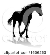 Poster, Art Print Of Silhouetted Horse With A Reflection Or Shadow On A White Background