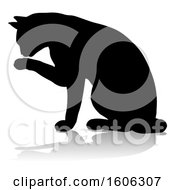 Poster, Art Print Of Silhouetted Cat Grooming With A Shadow Or Reflection On A White Background