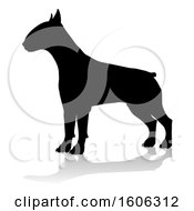 Silhouetted Bull Terrier Dog With A Reflection Or Shadow On A White Background