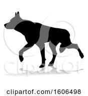 Poster, Art Print Of Silhouetted German Shepherd Dog With A Reflection Or Shadow On A White Background
