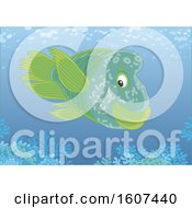 Clipart Of A Humphead Wrasse Fish Over A Reef Royalty Free Vector Illustration