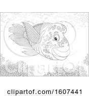 Clipart Of A Black And White Humphead Wrasse Fish Over A Reef Royalty Free Vector Illustration