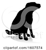 Clipart Of A Silhouetted Labrador Dog Sitting With A Reflection Or Shadow On A White Background Royalty Free Vector Illustration
