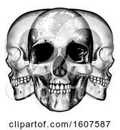 Clipart Of A Trio Of Human Skulls Black And White Vintage Etched Style Royalty Free Vector Illustration