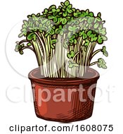 Poster, Art Print Of Sketched Watercress