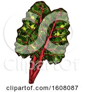 Poster, Art Print Of Sketched Chard Leaves