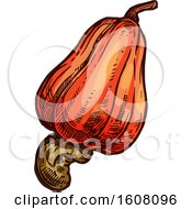 Clipart Of A Sketched Apple Cashew Royalty Free Vector Illustration