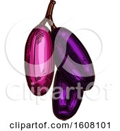 Clipart Of A Sketched Jambolan Royalty Free Vector Illustration