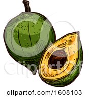 Clipart Of A Sketched Lucuma Royalty Free Vector Illustration