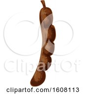 Clipart Of A Tamarind Royalty Free Vector Illustration