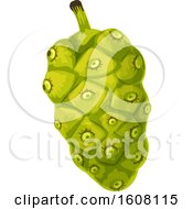 Clipart Of A Tropical Fruit Royalty Free Vector Illustration