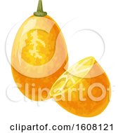 Clipart Of A Kumquat Royalty Free Vector Illustration