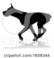 Silhouetted Great Dane Dog With A Reflection Or Shadow On A White Background