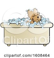 Poster, Art Print Of Puppy Dog In A Bath Tub