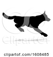 Poster, Art Print Of Silhouetted German Shepherd Dog With A Reflection Or Shadow On A White Background