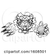 Clipart Of A Black And White Vicious Tiger Mascot Slashing Through A Wall With A Golf Ball Royalty Free Vector Illustration